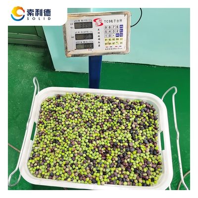 Zentrifuge-Extraktionsmaschine für die Olivenöl-Extraktionslinie EVOO-250 250 kg/h