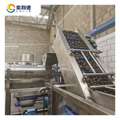 500 kg/h Avocadoöl-Extraktionsanlage Automatische Zubereitung und Kaltpresstechnologie