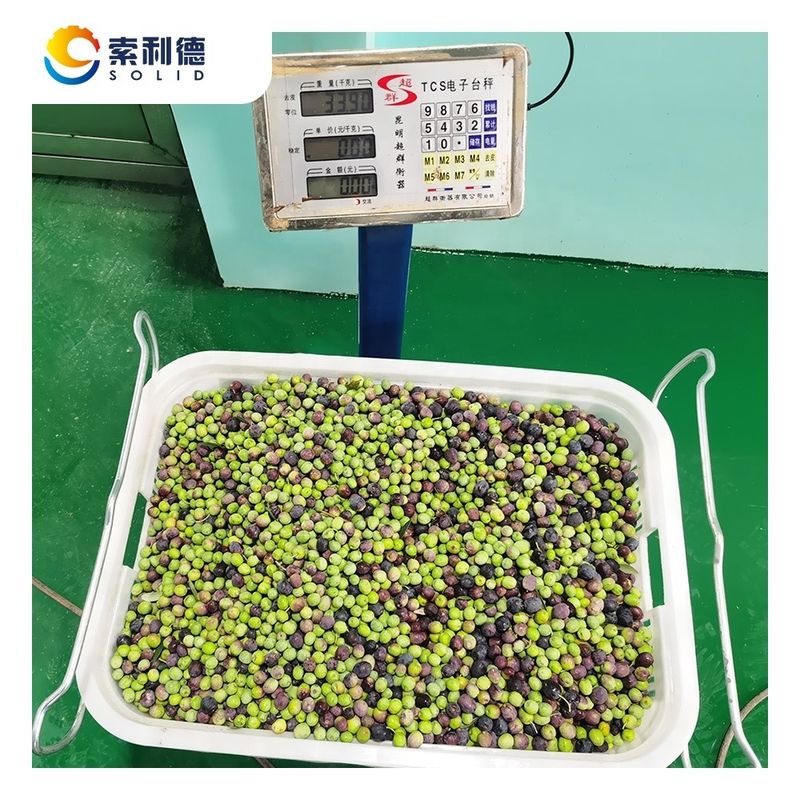 Ausbeute 22 kW Anlagenleistung EVOO-250 Olivenöl-Extraktionslinie für 3500 KG/h Ausgabe