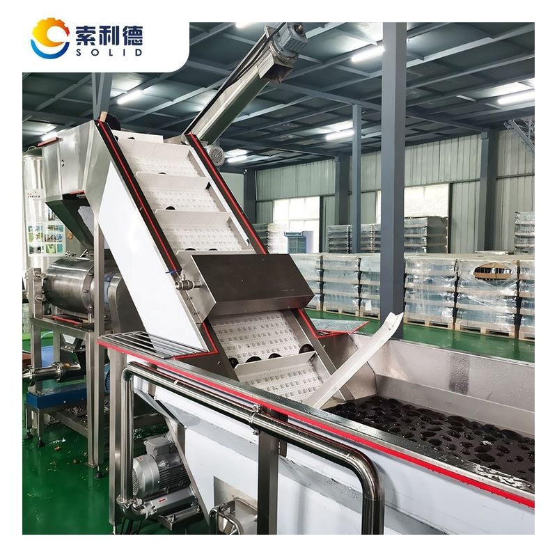 Zentrifuge-Extraktions-Avocadoölpressmaschine für die Extra-Nativölproduktion von 5 t/h