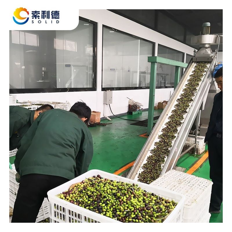 130 kW Leistung EVOO-5000 5000KG/h Extra-Neugeborene Olivenöl-Verarbeitungsanlage für Öl